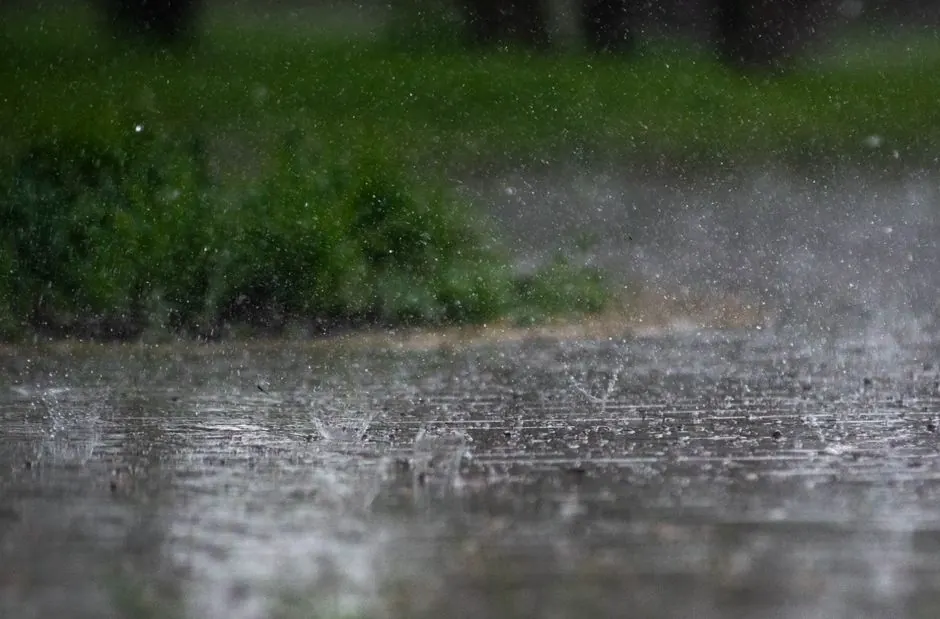 Close-up of heavy rainfall splattering on outdoor pavement with green foliage in the background.